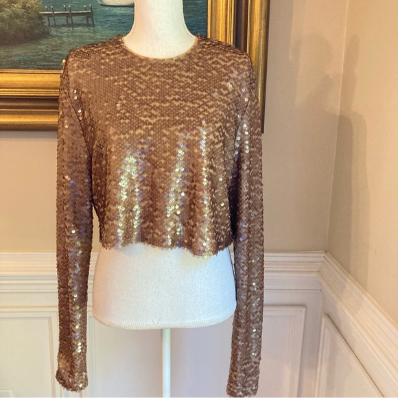 ZARA Brown Sequin Crop Top NWT - Picture 1 of 12